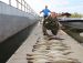 Рыболовная база отдыха «Fish Club» (Фиш Клуб)